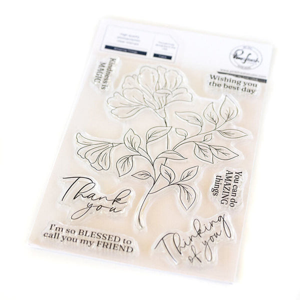 Pinkfresh Studio Clear Stamps Amazing Things