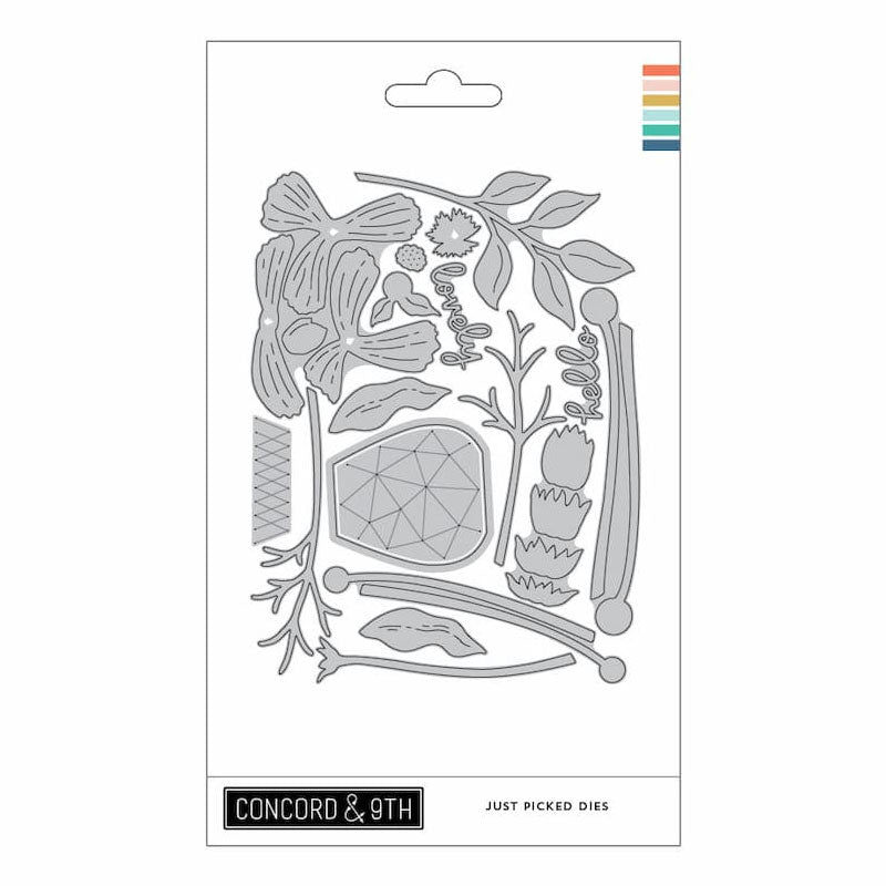 Concord & 9th Dies Just Picked