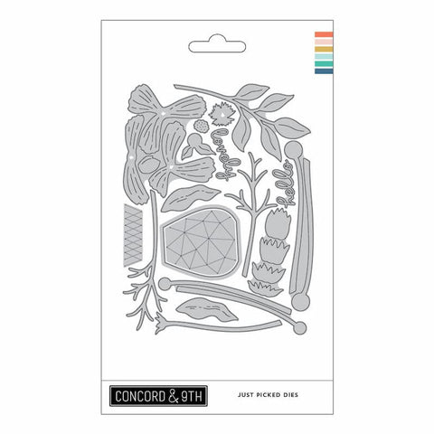 Concord & 9th Dies Just Picked