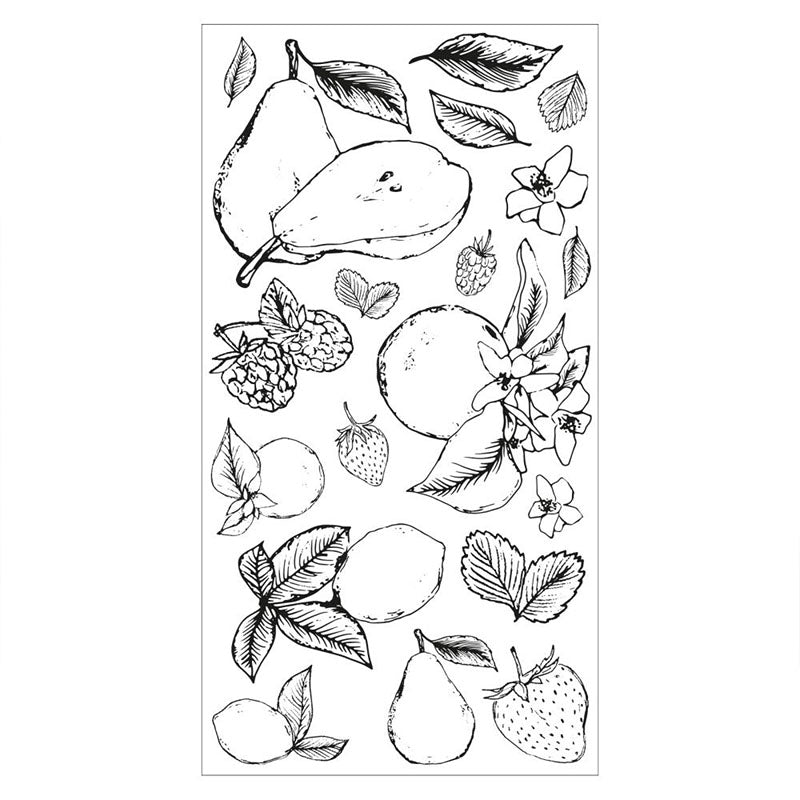Sizzix Clear Stamps Botanical Fruit