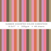 Lisa Horton Crafts Cardstock 48pc Summer