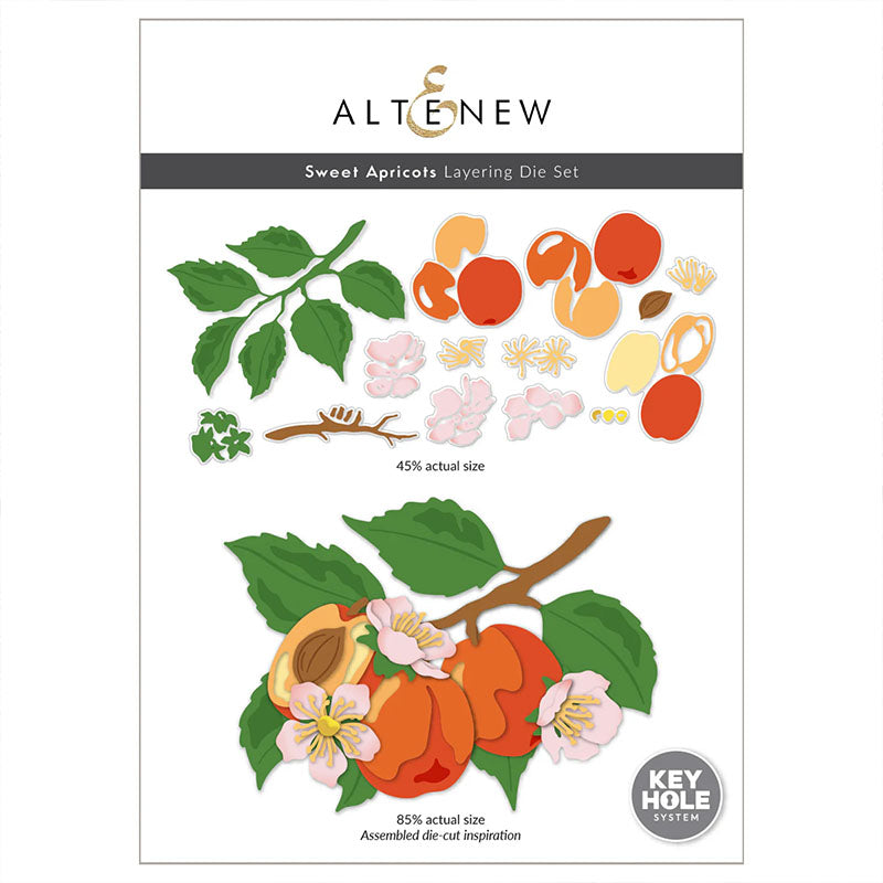 Altenew Dies Sweet Apricots