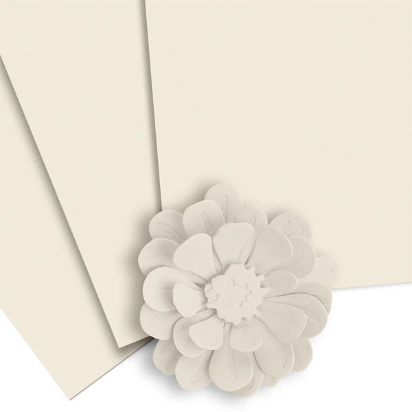 Altenew Cardstock 8.5x11 Peachy Glow