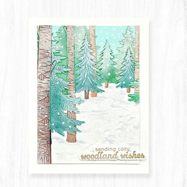 Altenew Embossing Folder Snowy Footpath