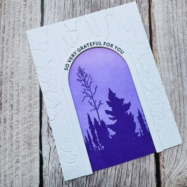 Altenew Clear Stamps Arched Sentiments