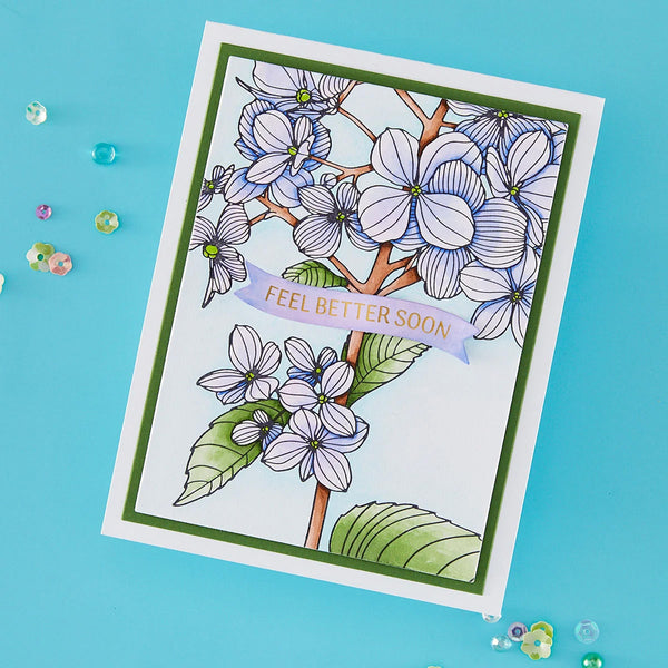Spellbinders Press Plates Thanks In Bloom
