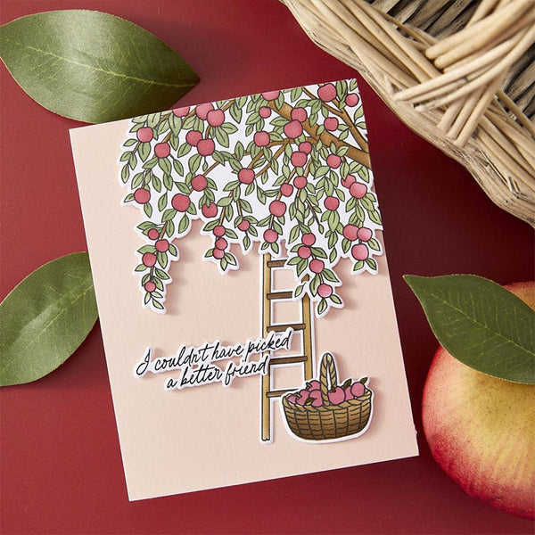 Hero Arts Stamps & Dies In The Orchard