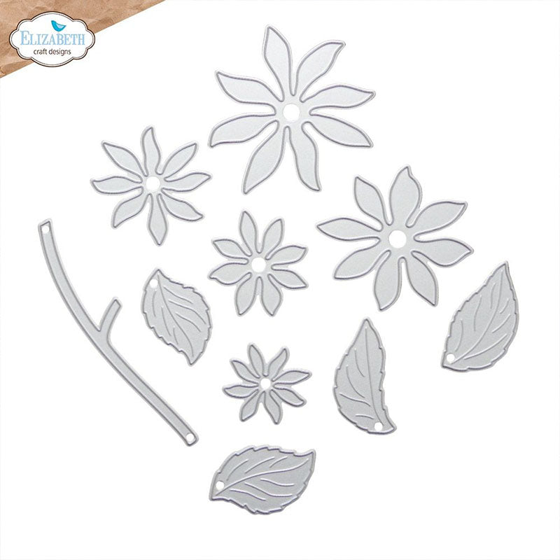 Elizabeth Craft Dies Dahlia