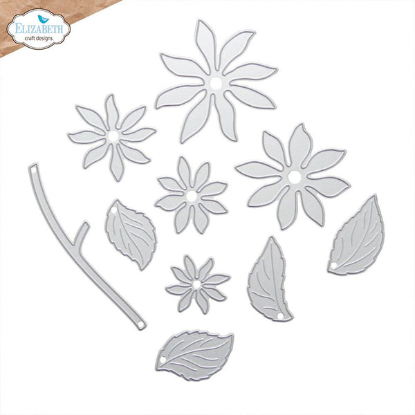 Elizabeth Craft Dies Dahlia