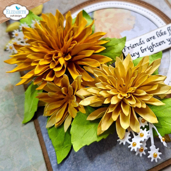Elizabeth Craft Dies Dahlia
