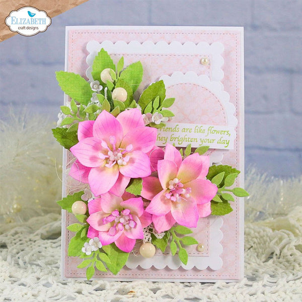 Elizabeth Craft Dies Lenten Rose
