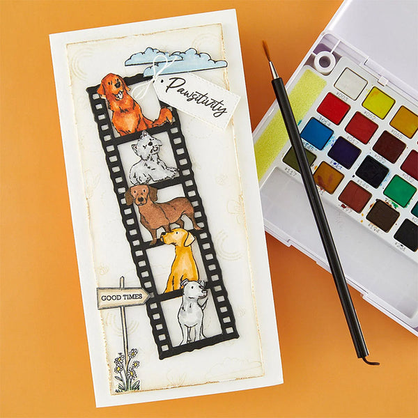 Spellbinders Clear Stamps Pawsitivity #1