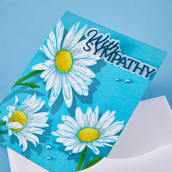 Spellbinders Dies With Sympathy