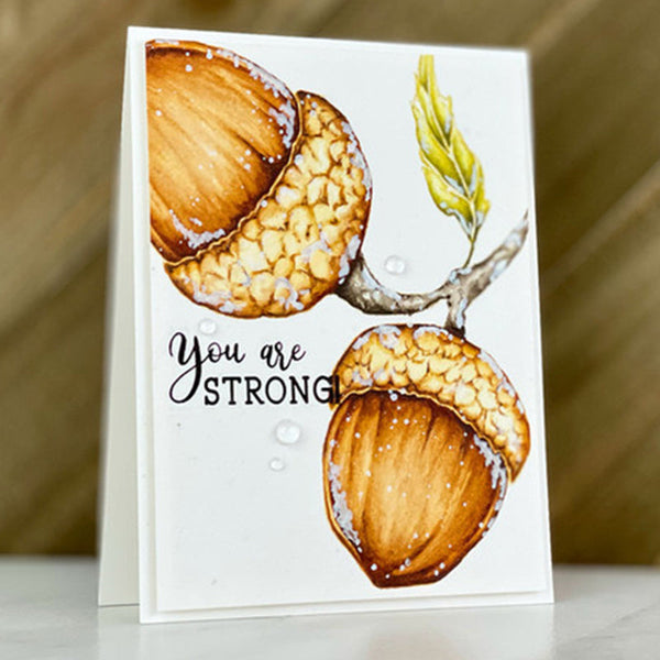 Colorado Craft Clear Stamps Mighty Acorn