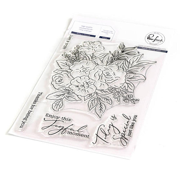 Pinkfresh Studio Clear Stamps Today Is Special