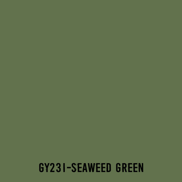 TOUCH Twin Brush Marker GY231 Seaweed Green