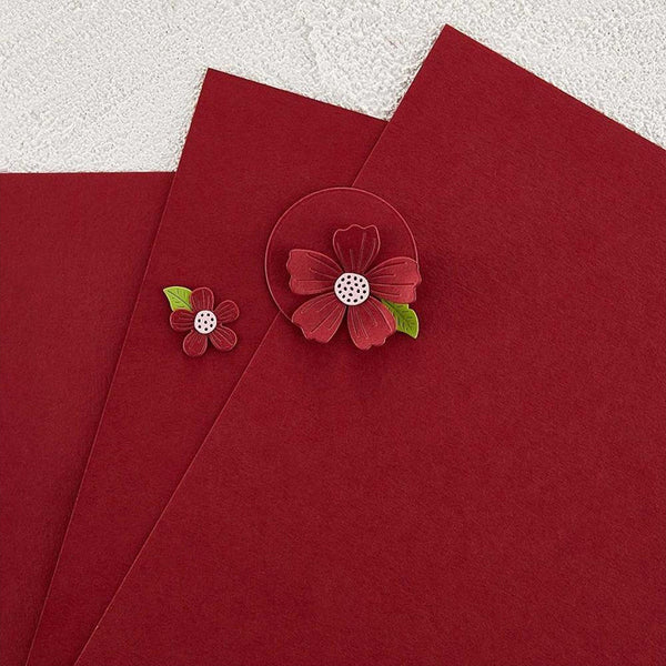 Seamless sunflower digital paper:Poppy Paper Pack, Fall Floral Paper - Baer  Design Studio